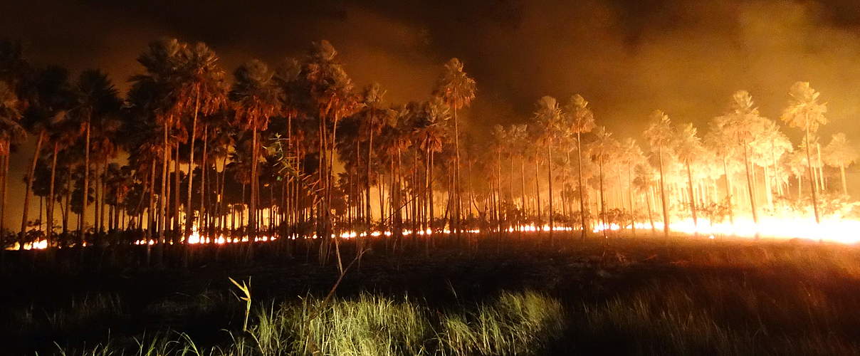 Feuer in Bolivien © Suri Rolando Cabrera Barea / WWF Brasilien
