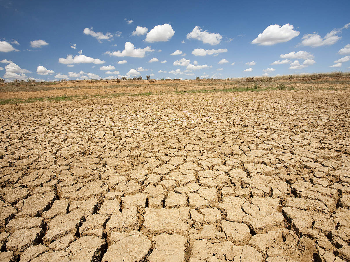 Dürre © Global Warming Images / WWF