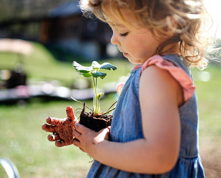Mädchen mit Erdbeerpflanze im Garten © Shutterstock / WWF-UK 
