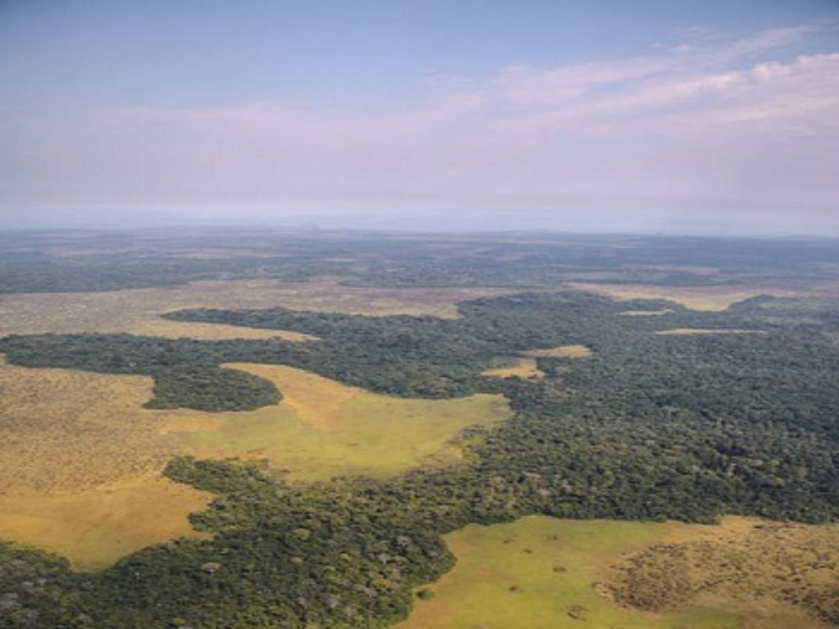 Savanne im Kongo © Matthias Dehling / WWF