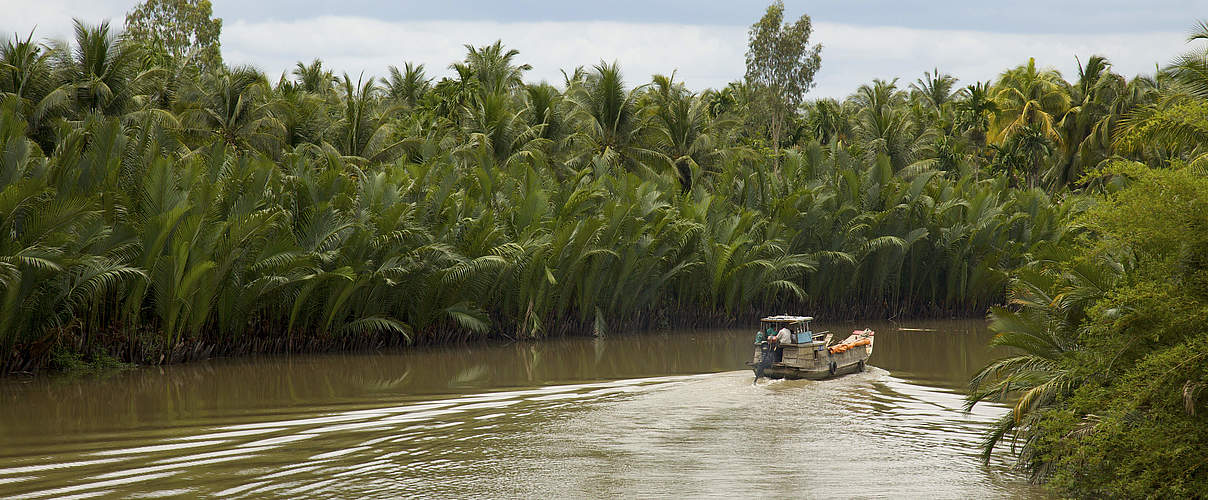 Mekong Delta © Adam Oswell / WWF-Greater Mekong