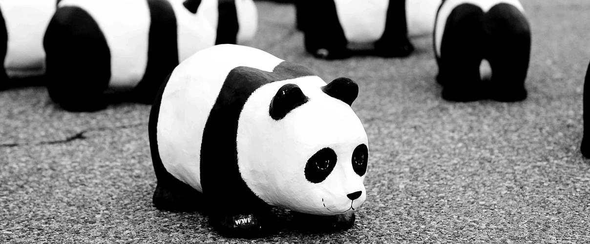 Panda-Figuren © Florian Hänggeli / WWF-Switzerland