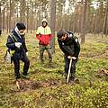 Mitarbeiter:innen pflanzen Bäume in Barsdorf im November 2022 © Kathrin Tschirner / WWF