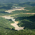 Am Amazonas wurden riesige Waldgebiete unter Schutz gestellt © Ricardo Lisboa /WWF-US
