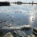 Der WWF ist nach der Umweltkatastrophe in der Oder vor Ort und berichtet über das Fischsterben © Jennifer Janski / WWF