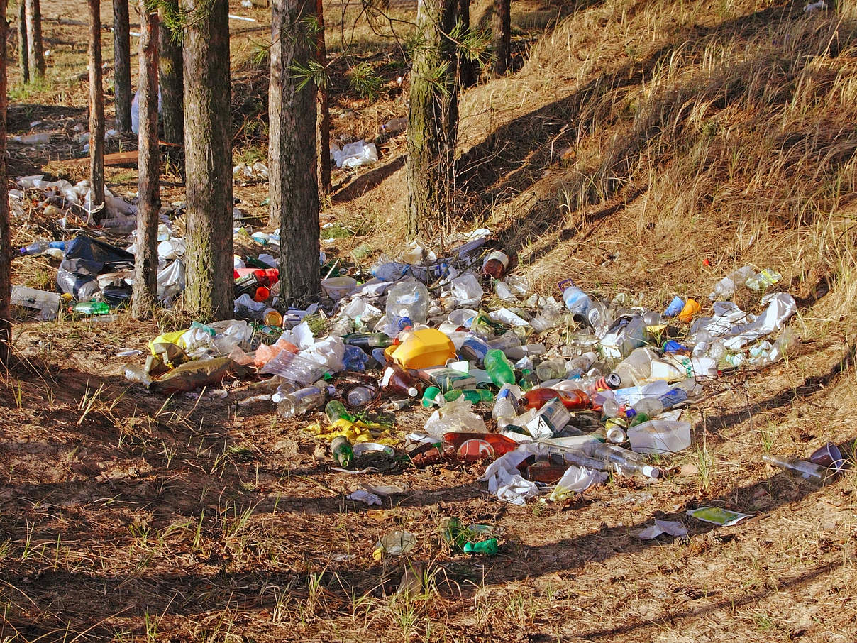 Plastik verschmutzt die Umwelt © iStock / GettyImages