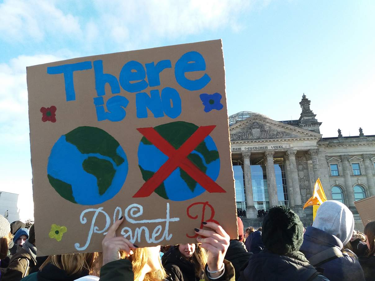 Schülerstreik vor dem Bundestag zum Klimaschutz © WWF
