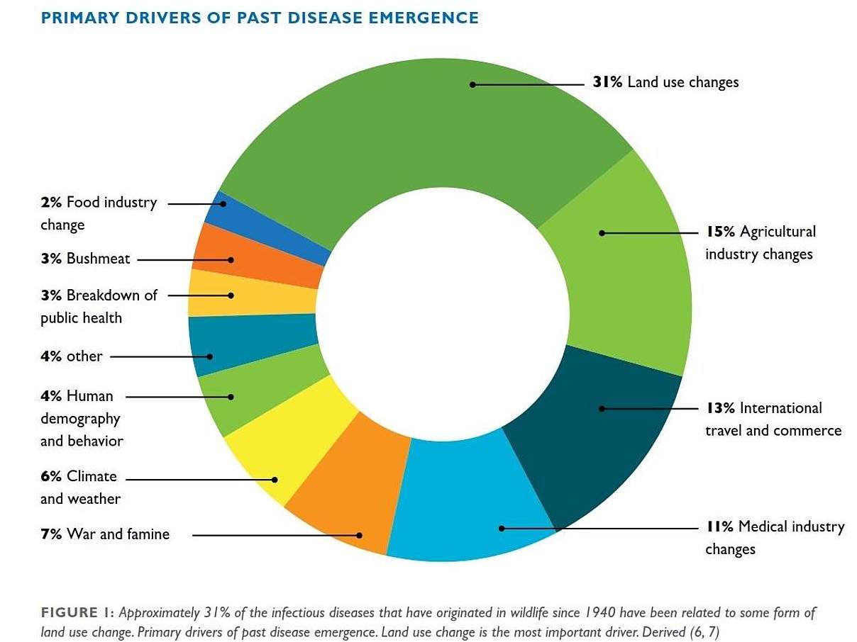 Haupttreiber des Auftretens vergangener Krankheiten. © IDEEAL Report Eco Health Alliance