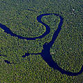 Amazonas Schutzgebiet © Adriano Gambarini / WWF