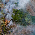 Entwaldung Amazonas-Regenwald © Andre Dib / WWF-Brazil 