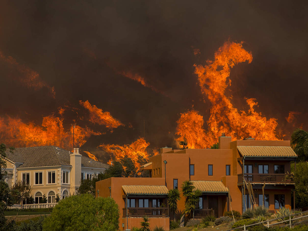 Waldbrand erreicht Wohnhäuser, Malibu, Kalifornien © David McNew / Stringer / Getty Images