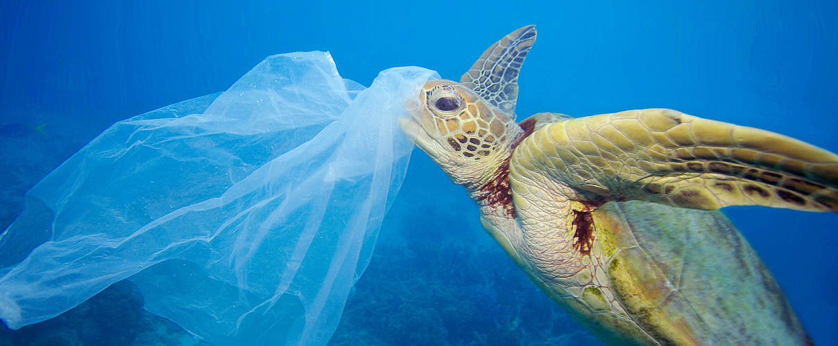 Plastik gefährdet die Meeresschildkröten © Troy Mayne / WWF