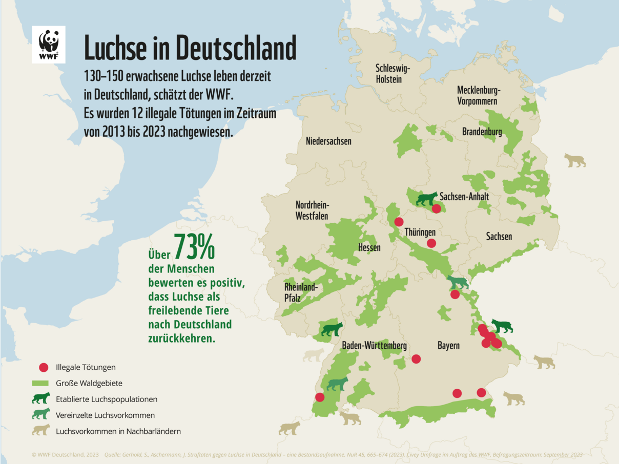 Illegale Luchstötungen in Deutschland © WWF