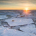 Eisbär auf treibendem Eis in Norwegen © naturepl.com / Ole Jorgen Liodden / WWF