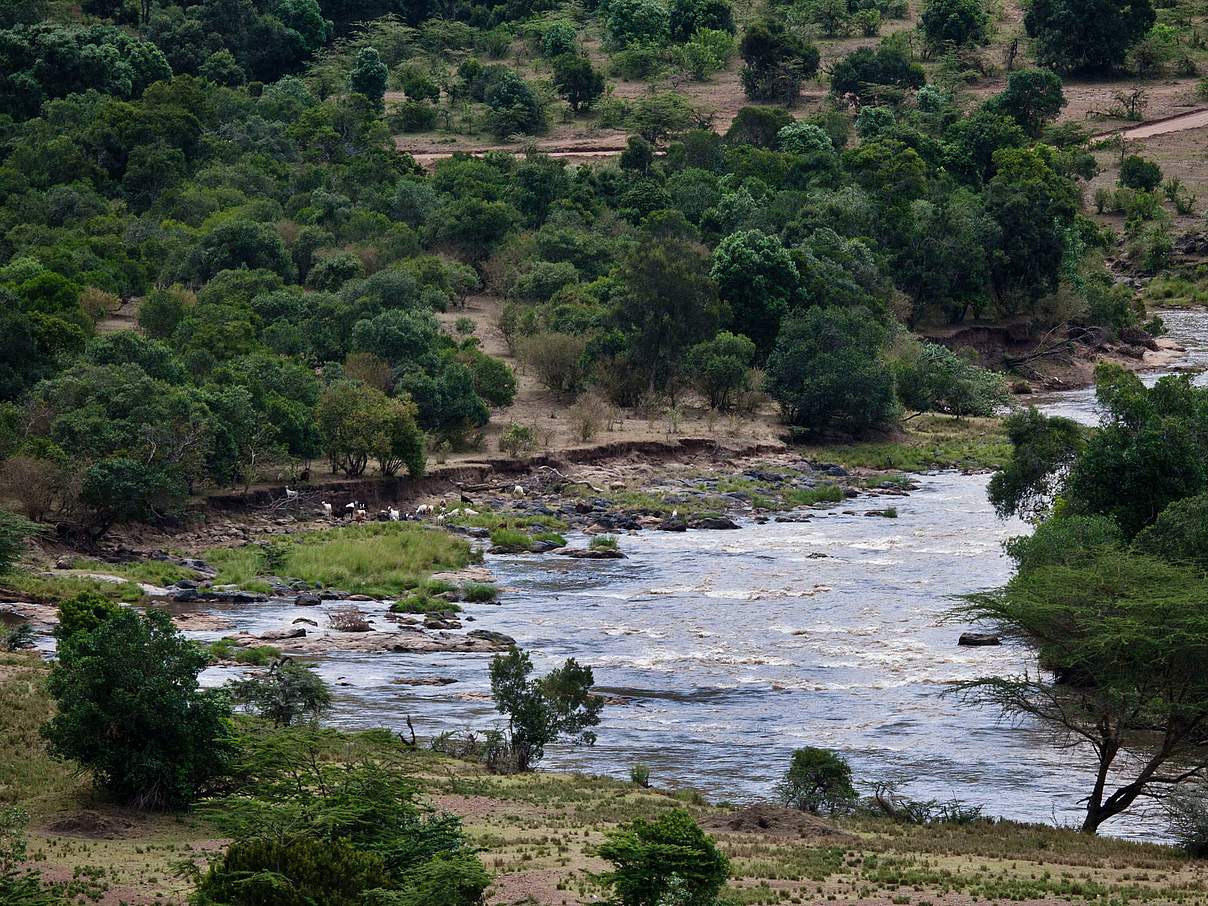 Der Mara Fluss in Kenia © Kate Holt / WWF UK