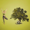 Yoga für Artenvielfalt: Annika Isterling macht den Baum für den Wald © WWF