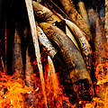 Verbrennung von Elfenbein © James Morgan / WWF