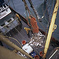 Fischerei im Nordatlantik ©Mike R. Jackson WWF