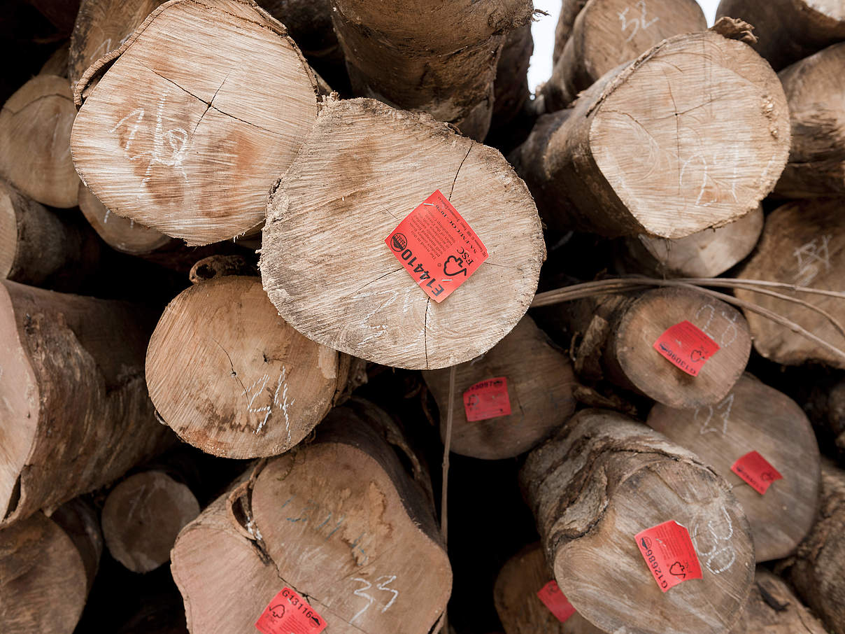 FSC zertifiziertes Holz auf den Salomonen © Jürgen Freund / WWF