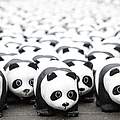 Der Panda ist unterwegs © WWF