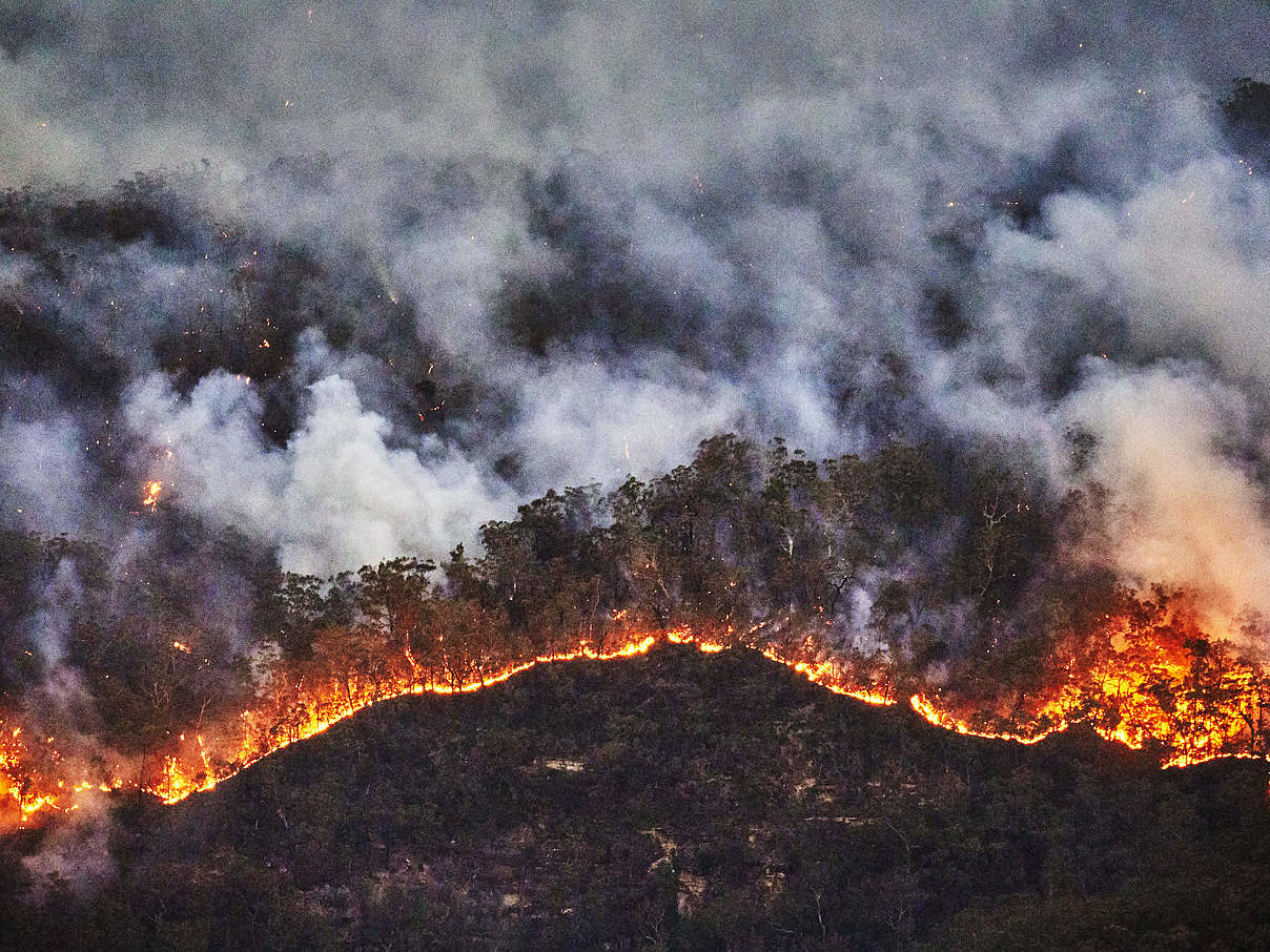 Amazonas in Flammen © Day´s Edge Productions / WWF-US