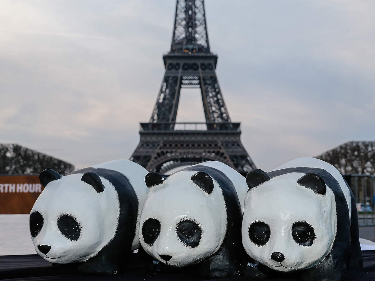 Klimastrategien für Paris © Shérif Scouri / WWF Frankreich